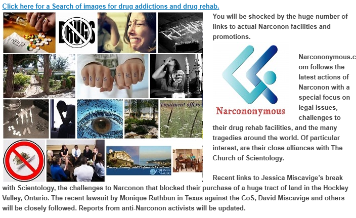 Screenshot of the original Narcononymous homepage